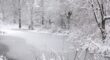 Snow-covered trees by a lake outside of Clifton, NJ.